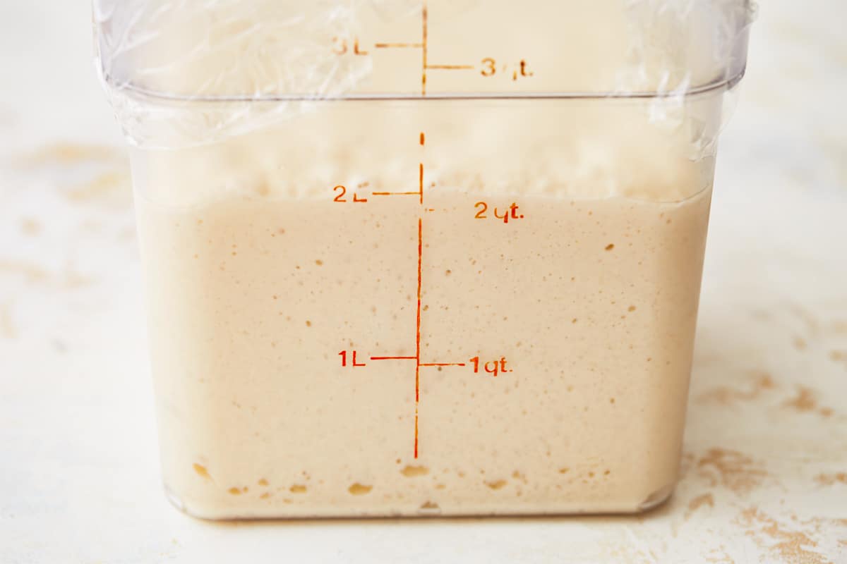 Dough proofing in a measured container.